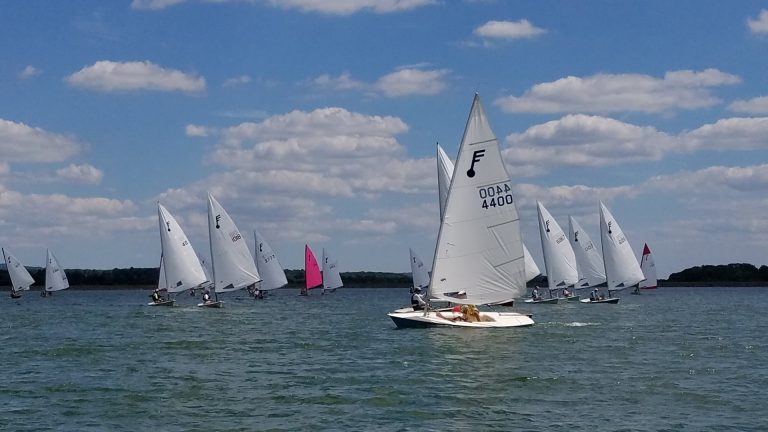 one pink sail in a sea of white